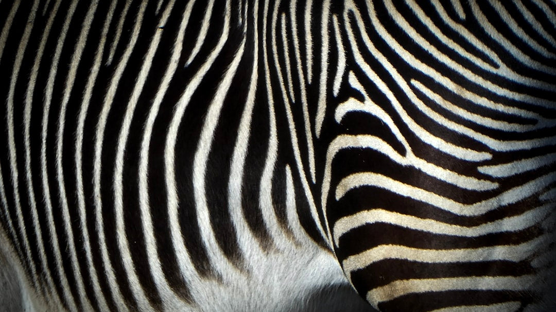 Trendy Patterns and Prints for Children's Clothing