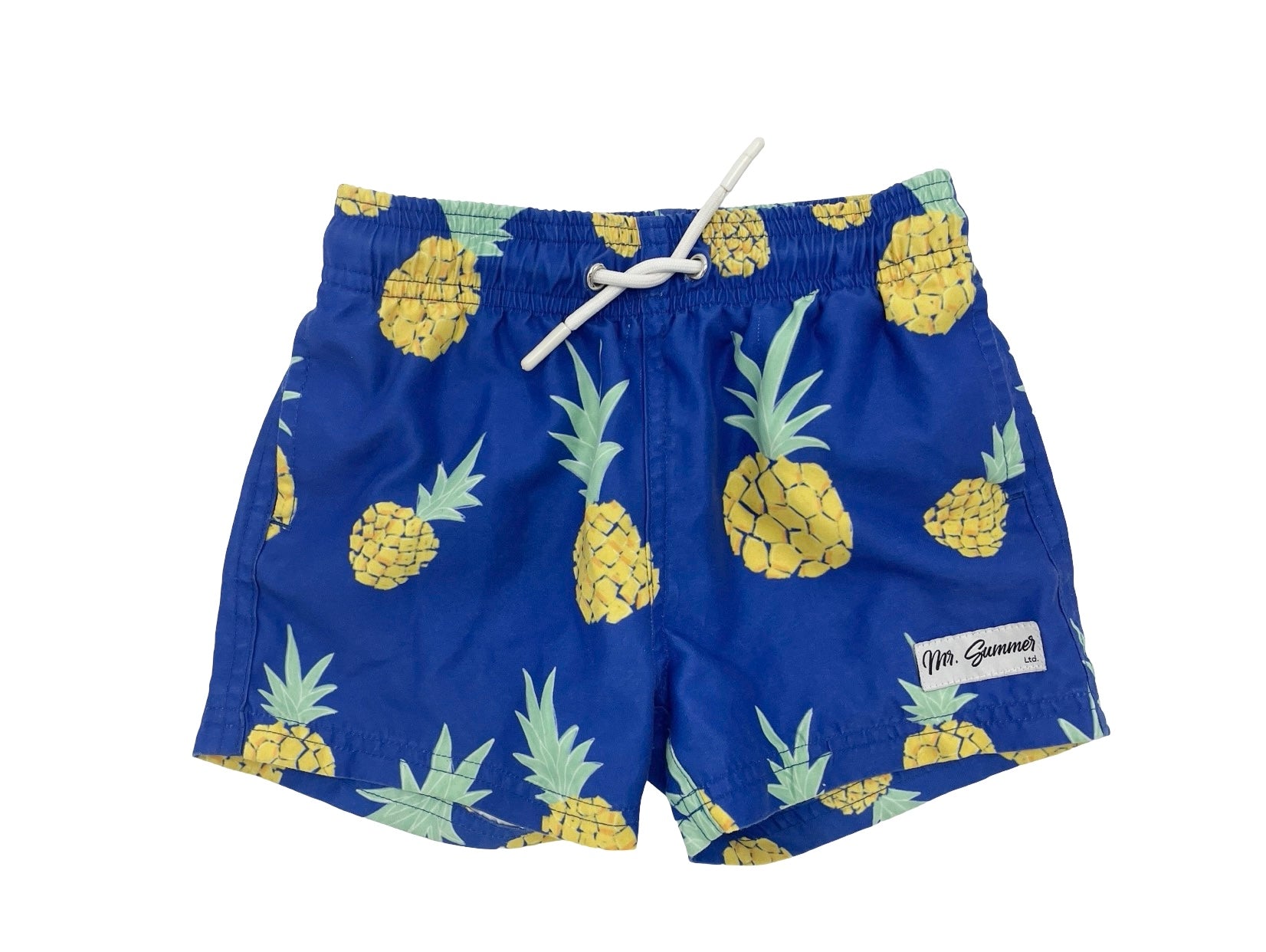 Mr. summer lined swim shorts 3